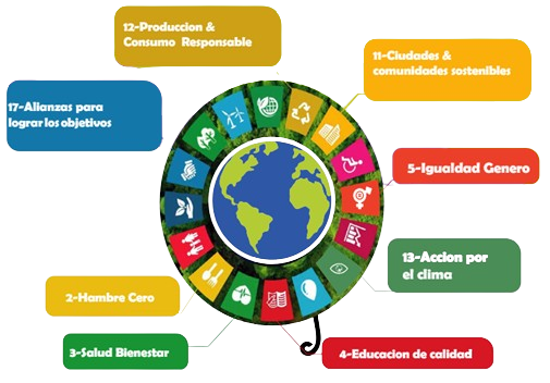 ODS (Objetivos de Desarrollo Sostenible)