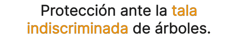 Protección ante la tala indiscriminada de árboles