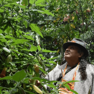 Fondo página principal