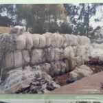 Foto historia Liston Plast